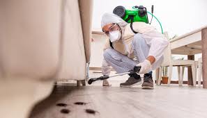 Best Fumigation Services  in Malone, FL